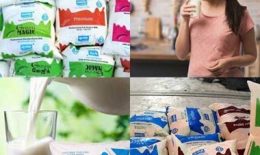 શું તમે પણ પેક કરેલું દૂધ ગરમ કરો છો? તો આ ભૂલ ક્યારેય ના કરો, કારણ જાણો