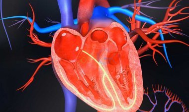 જો તમને અચાનક હાર્ટ એટેક આવે છે, તો આ ગોળી તમારી સાથે રાખો