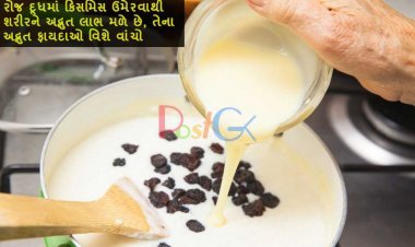 રોજ દૂધમાં કિસમિસ ઉમેરવાથી શરીરને અદ્ભુત લાભ મળે છે, તેના અદ્ભુત ફાયદાઓ વિશે વાંચો
