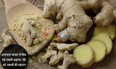 सावधान! बाजार में बिक रहा नकली अदरक, ऐसे करें असली की पहचान
