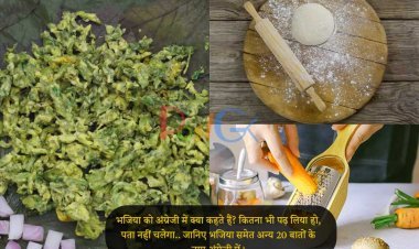 भजिया को अंग्रेजी में क्या कहते हैं? कितना भी पढ़ लिया हो, पता नहीं चलेगा.. जानिए भजिया समेत अन्य 20 बातों के नाम अंग्रेजी में।