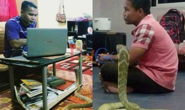 पिछले जन्म का प्यार बता इस शख्स ने नागन से की शादी, सोशल मीडिया पर वायरल हुई प्रेम कहानी