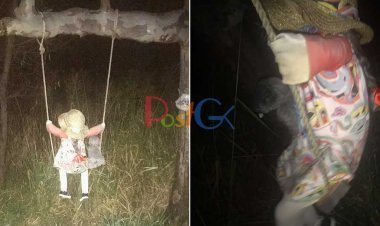 एक पेड़ पर बैठी यह गुड़िया पुरे गांव की नींद उड़ा डी है उसके पास जो भी जाते है वो सोने लगते है