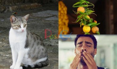 इस कहानी में आप अंधविश्वास और कुछ बेकार परंपराएं कैसे काम करते हैं, इसका सबसे अच्छा उदाहरण समझेंगे, पढ़ना न भूलें