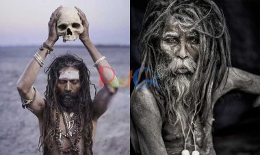 एक आदमी की खोपड़ी में खाने वाले कापालिकों के बारे में पढ़कर आप कांप जाएंगे! पढ़िए शिवाजी की कड़ी मेहनत का अभ्यास करने वाले अघोरी का रहस्य