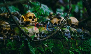 काले जादू का गांव मायोंग यहाँ के जादूगर लोग लोगों को कर देते है गायब