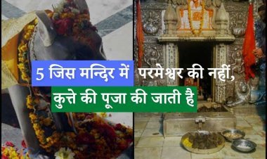 5 जिस मन्दिर में परमेश्वर की नहीं, कुत्ते की पूजा की जाती है, वहां सब मनोकामनाएं पूरी होती हैं