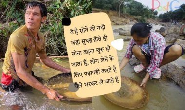 ये है सोने की नदी, जहां सुबह होते ही सोना बहना शुरू हो जाता है, लोग लेने के लिए पड़ापड़ी करते है , थैले भरकर ले जाते हैं