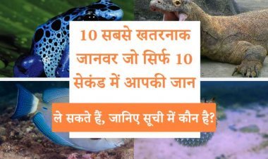 10 सबसे खतरनाक जानवर जो सिर्फ 10 सेकंड में आपकी जान ले सकते हैं, जानिए सूची में कौन है?