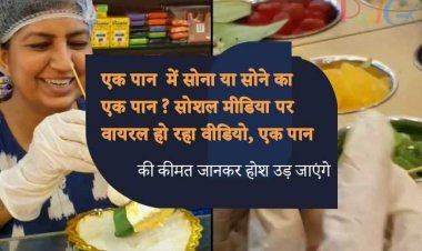 एक पान  में सोना या सोने का एक पान ? सोशल मीडिया पर वायरल हो रहा वीडियो, एक पान  की कीमत जानकर होश उड़ जाएंगे