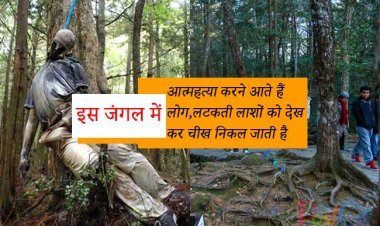 इस जंगल में आत्महत्या करने आते हैं लोग, लटकती लाशों को देख  कर चीख निकल जाते हैं