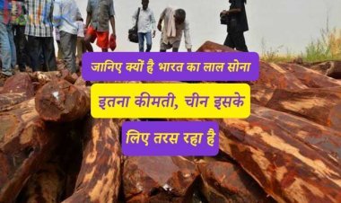 जानिए क्यों है भारत का लाल सोना इतना कीमती, चीन इसके लिए तरस रहा है