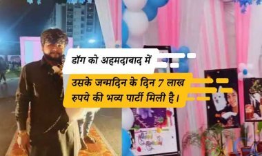 डॉग को अहमदाबाद में उसके जन्मदिन के दिन  7 लाख रुपये की भव्य पार्टी मिली है।