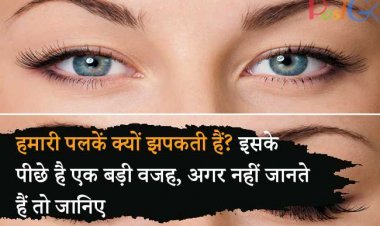 हमारी पलकें क्यों झपकती हैं? इसके पीछे है एक बड़ी वजह, अगर नहीं जानते हैं तो जानिए