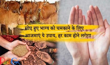 सोए हुए भाग्य को चमकाने के लिए आजमाएं ये उपाय, हर काम होने लगेगा