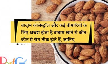 बादाम कोलेस्ट्रॉल और कई बीमारियों के लिए अच्छा होता है बादाम खाने से कौन-कौन से रोग ठीक होते हैं, जानिए