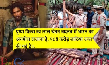 पुष्पा फिल्म का लाल चंदन वास्तव में भारत का अनमोल खजाना है, 508 करोड़ लाठियां जब्त की गई हैं।