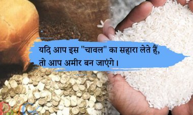 यदि आप इस "चावल" का सहारा लेते हैं, तो आप अमीर बन जाएंगे।