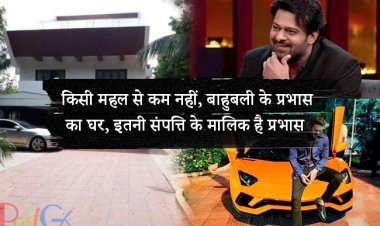 किसी महल से कम नहीं, बाहुबली के प्रभास का घर, इतनी संपत्ति के मालिक है प्रभास