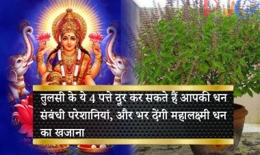 तुलसी के ये 4 पत्ते दूर कर सकते हैं आपकी धन संबंधी परेशानियां, और भर देंगी महालक्ष्मी धन का खजाना