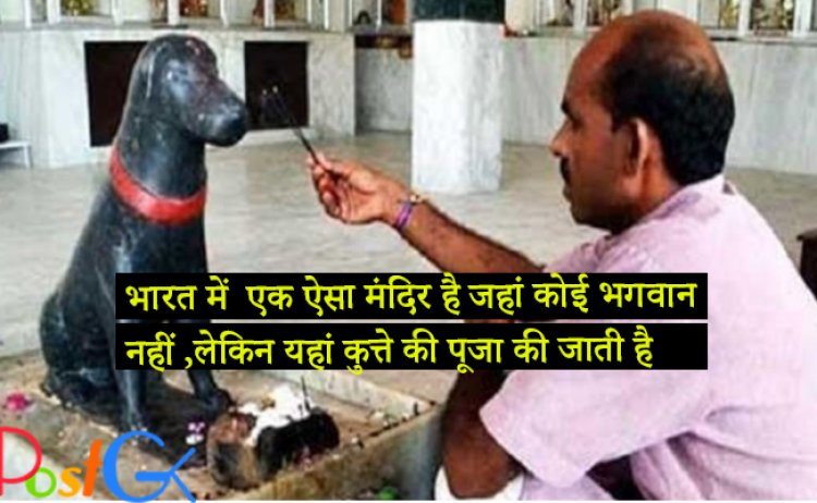 भारत में  एक ऐसा मंदिर है जहां कोई भगवान नहीं ,लेकिन यहां कुत्ते की पूजा की जाती है