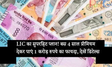 LIC का सुपरहिट प्लान! बस 4 साल प्रीमियम देकर पाएं 1 करोड़ रुपये का फायदा, देखें डिटेल्स