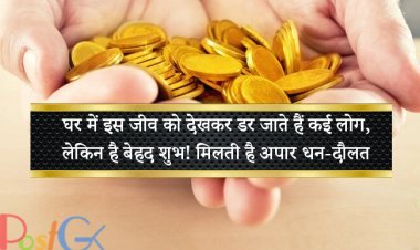 घर में इस जीव को देखकर डर जाते हैं कई लोग, लेकिन है बेहद शुभ! मिलती है अपार धन-दौलत