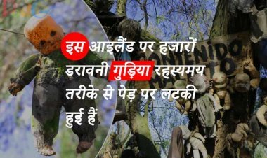 मेक्सिको को के इस आइलैंड पर हजारों डरावनी गुड़िया रहस्यमय तरीके से पेड़ पर लटकी हुई हैं, जानिए  पूरी कहानी