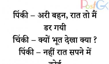 पिंकी चिंकी और डरावना सपना