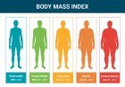 How To Calculate BMI : How to Measure and Interpret Your Body Mass Index & How To Improve Your BMI