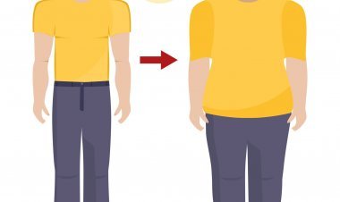 A Comprehensive Diet Plan for Effective Weight Gain: Unlocking the Secrets to Healthy Muscle Mass