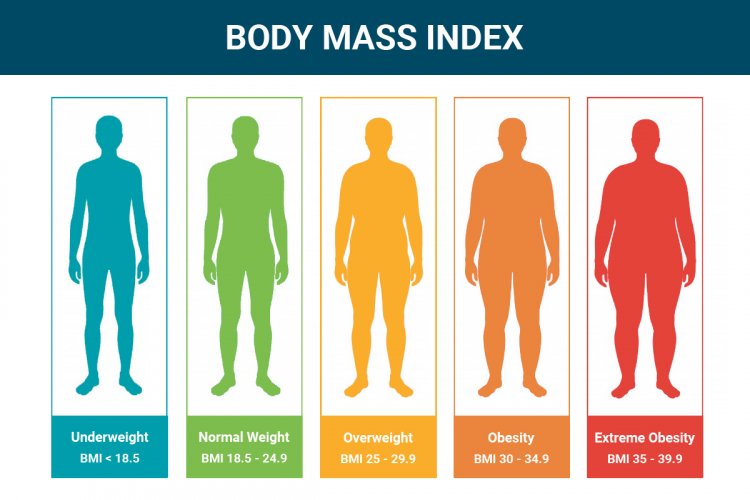 How To Calculate BMI : How to Measure and Interpret Your Body Mass Index & How To Improve Your BMI