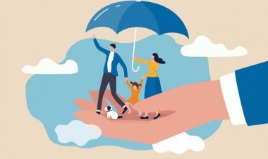 Navigating the Insurance Maze: Choosing the Best Insurance Scheme